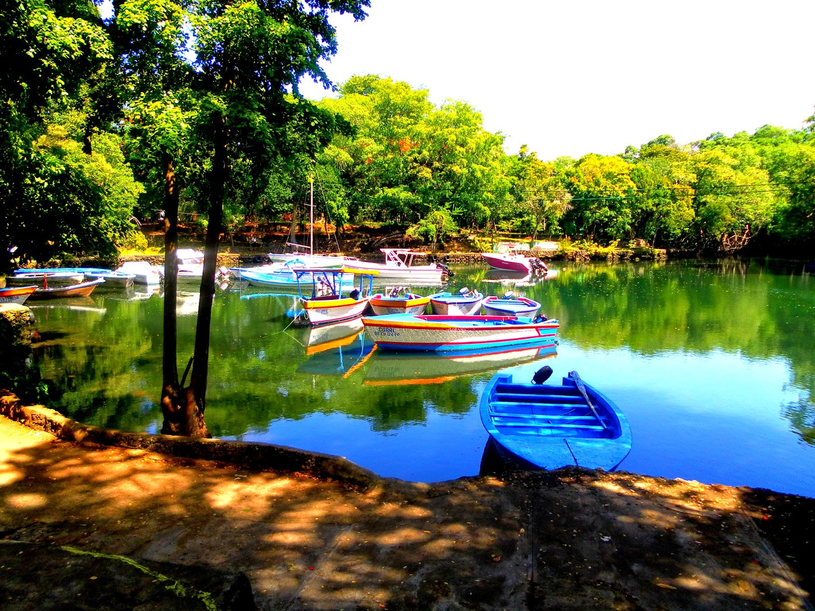 laguna grigri río san juan